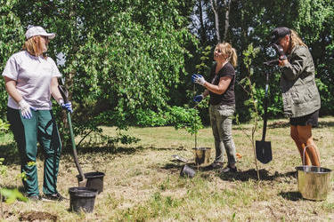 Na zdjęciu widać ludzi sadzących drzewka.