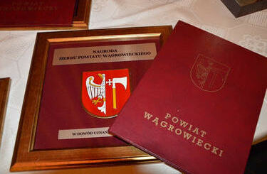 Na zdjęciu widać nagrodę w postaci Herbu Powiatu Wągrowieckiego.