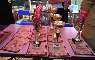 Zdjęcie przedstawia uszykowane dyplomy wraz z pucharami 