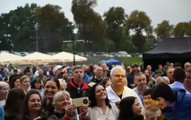 widzimy dużą grupę os&oacute;b słuchającą koncertu