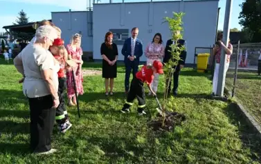widzimy osoby sadzące drzewko