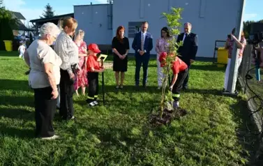 widzimy osoby sadzące drzewko