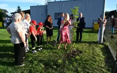 widzimy osoby sadzące drzewko