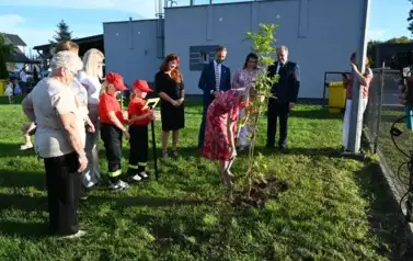 widzimy osoby sadzące drzewko