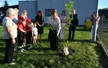 widzimy osoby sadzące drzewko