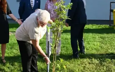 widzimy osoby sadzące drzewko
