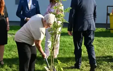 widzimy osoby sadzące drzewko