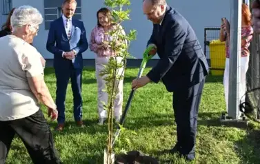 widzimy osoby sadzące drzewko