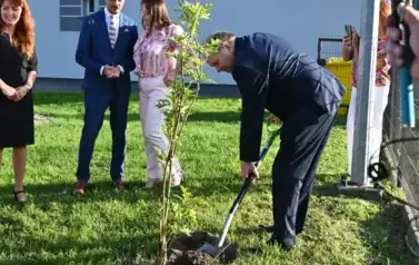 widzimy osoby sadzące drzewko
