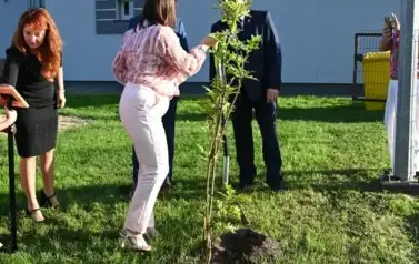 widzimy osoby sadzące drzewko