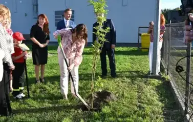 widzimy osoby sadzące drzewko