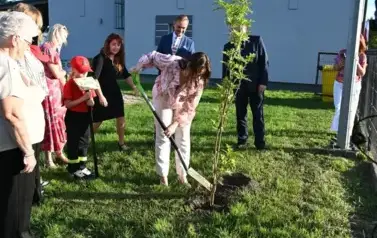 widzimy osoby sadzące drzewko