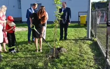 widzimy osoby sadzące drzewko