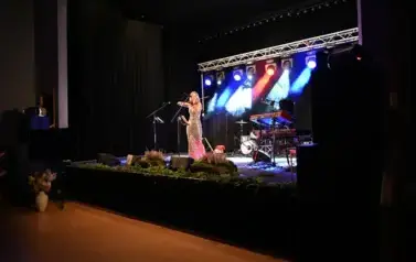 widzimy panią grającą na skrzypcach
