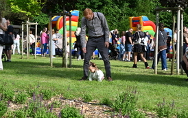 DSC_8907