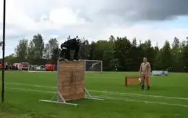 Strażak przeskakuje przez przeszkodę 