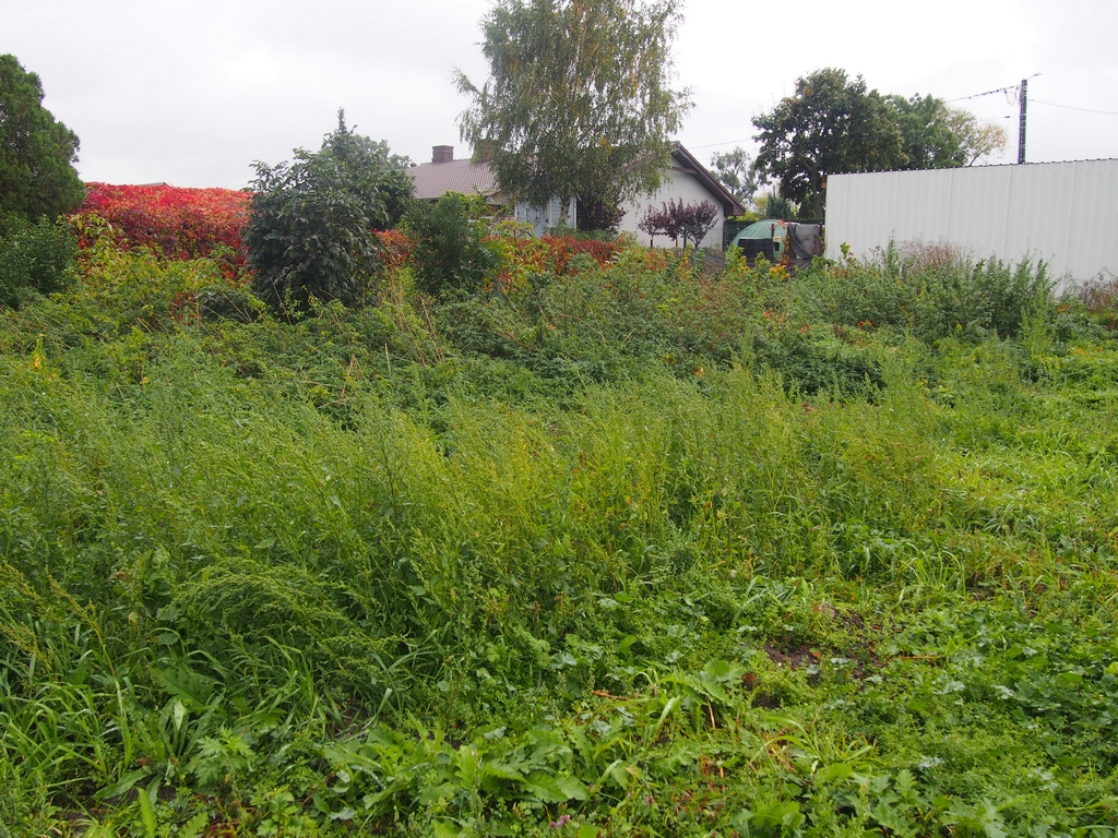 P1016045