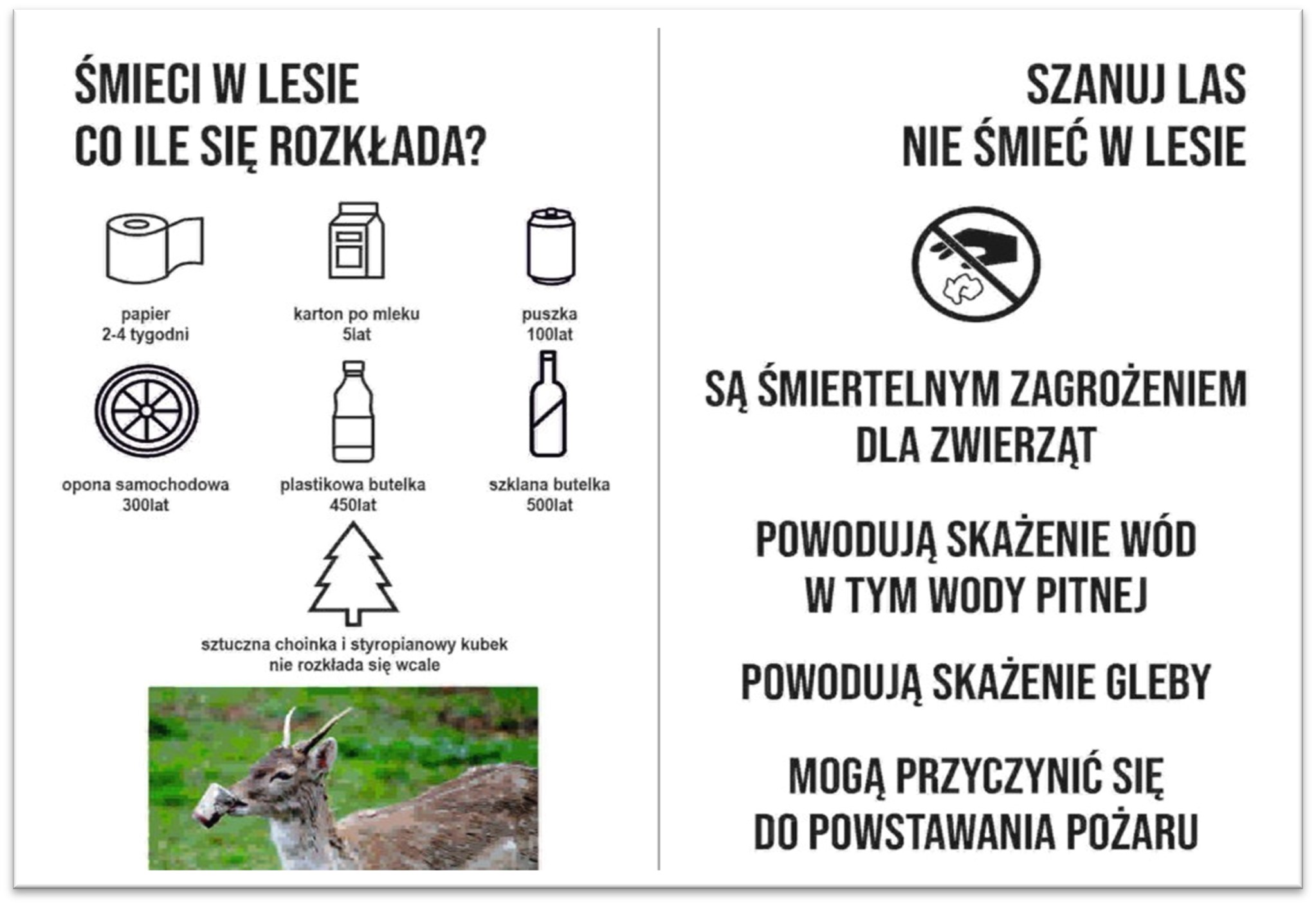 ulotka o&nbsp;zachowaniu czystości w&nbsp;lesie