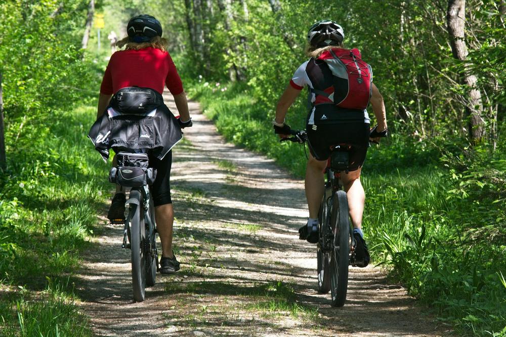 Na zdjęciu widać dwóch rowerzystów jadących przez las